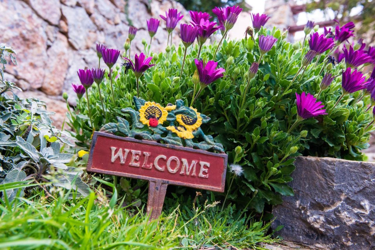 Votana Villa & Apartments Koutsounari Dış mekan fotoğraf